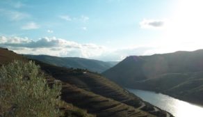 The Douro Valley was awarded World Heritage status by UNESCO because of its unique geography. 