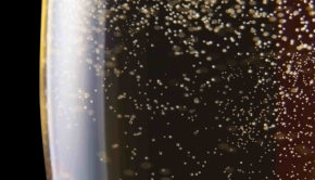 although Champagne’s share of the overall wine market has slipped marginally from 2.2% in 2015 to 2.16% last year, sales have gone up overall due to better economic times and the dropping of people’s resistance to spend on Champagne, a hangover from the recession.