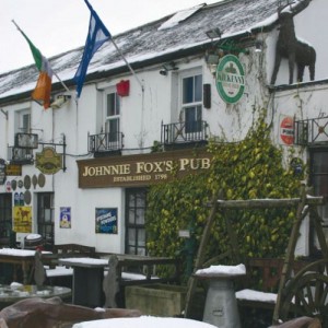 Pre-tax losses at Fox's Pub, the Glencullen tourist attraction just outside Dublin, amounted to just €8,569.