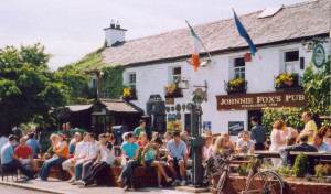 Pre-tax profits for the year were down at Johnnie Fox's pub from €396,588 to €262,234.