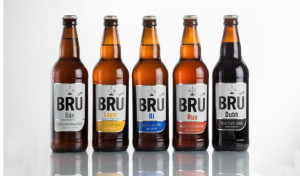 Brú Brewery 13 Aug 2015low