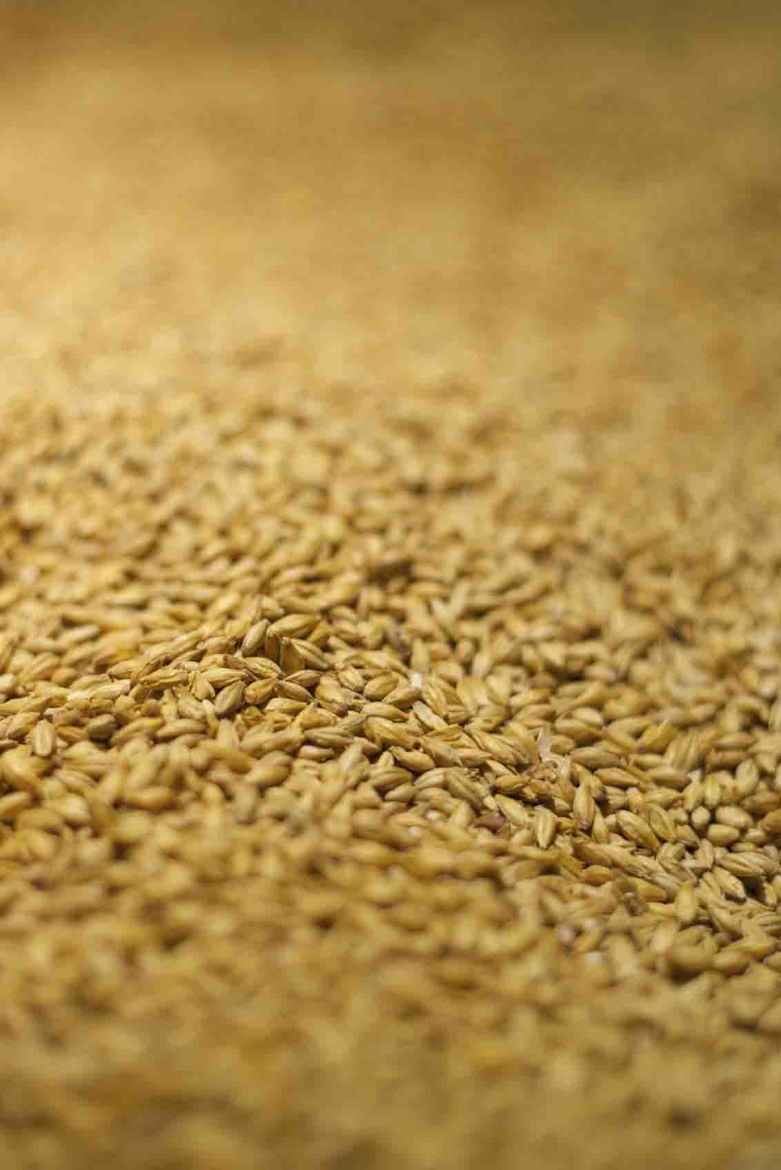 "Often malted barley might be produced in one jurisdiction and transported to another or beer might be produced in one jurisdiction and transported to another for bottling and canning."