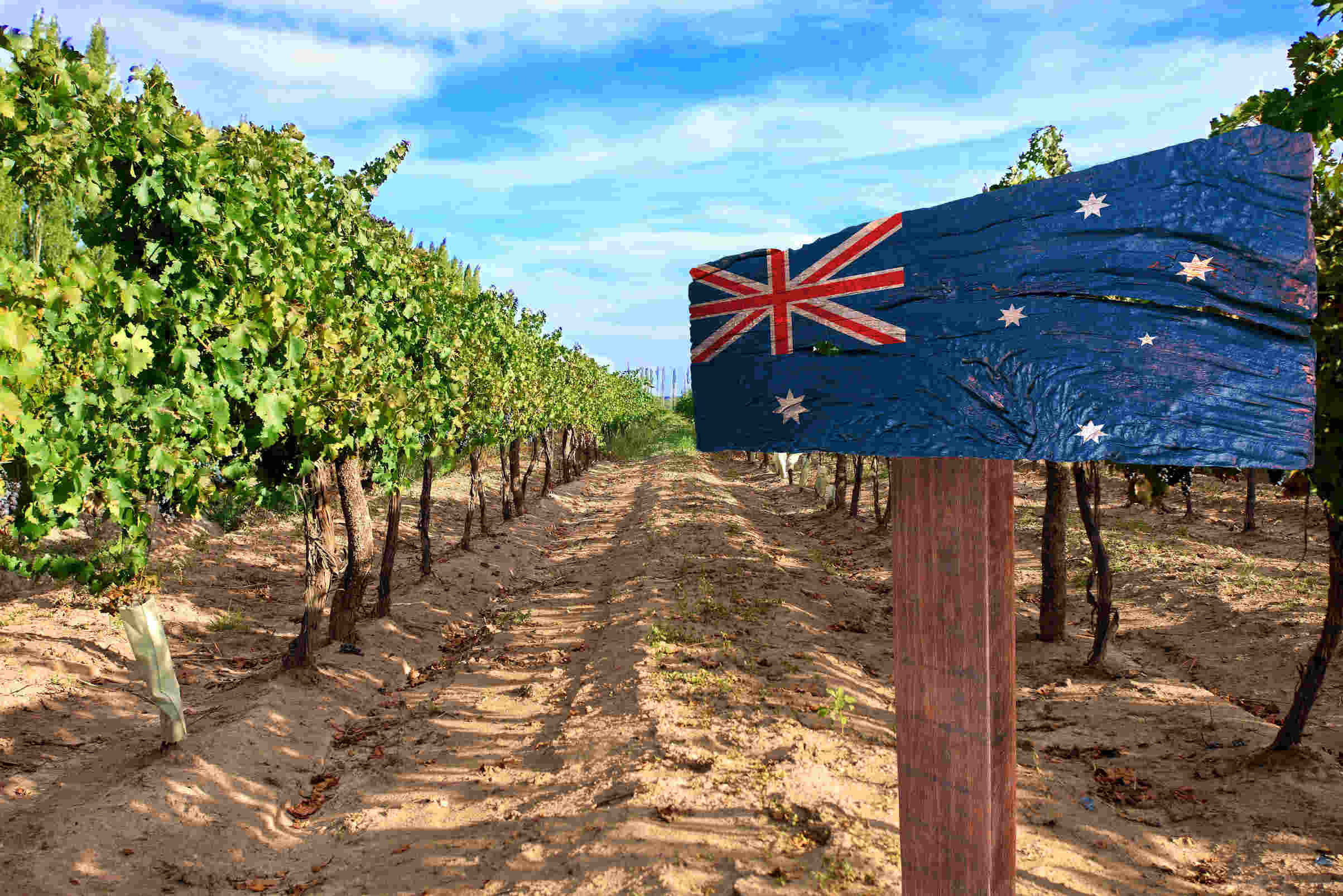 In the year to December 2016, Australia exported some $2.2 billion-worth of wine, up 7% on the previous year on volumes which expanded by 1%.