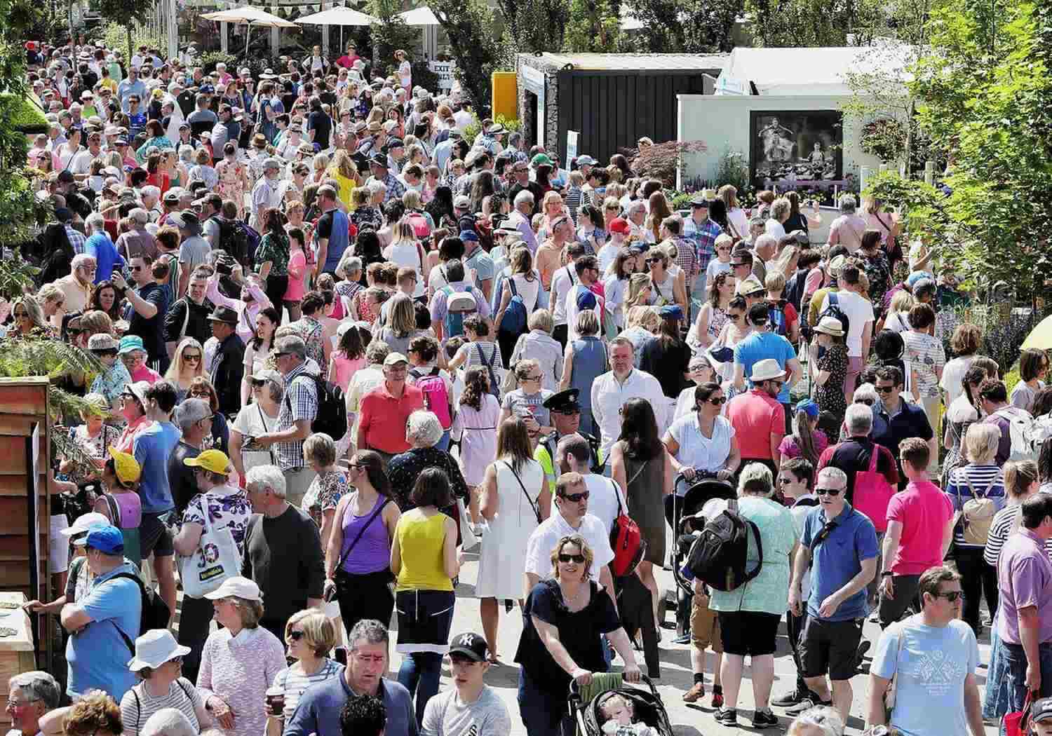 Some 119,000 people attended Bord Bia’s Bloom festival in Dublin’s Phoenix Park over the June bank holiday weekend.