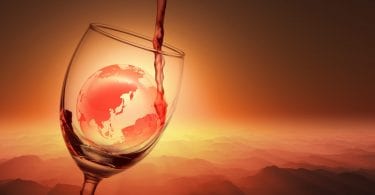 The higher-than-average harvests in the Southern Hemisphere vineyards are unlikely to make up for the loss in yields of the world's biggest wine producers overall, states the OIV.