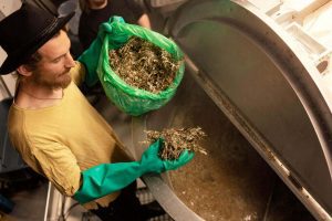 The Wasted Potential beers are brewed with wild herbs, local food waste like bread, berries and fruits – and goose droppings.