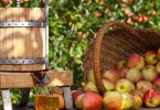 The past 18 months have been challenging for the cider sector overall, with cider sales falling significantly due to Covid Lockdowns.