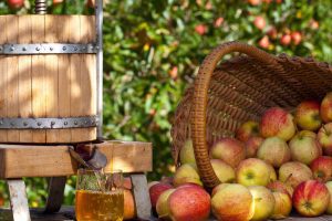 The past 18 months have been challenging for the cider sector overall, with cider sales falling significantly due to Covid Lockdowns.