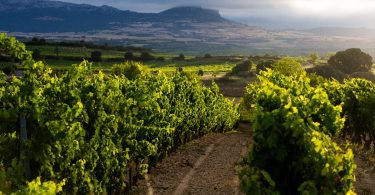 Registrations open for Rioja Wines' November 16th trade-tasting.