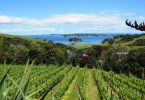 NZ's global wine sales value increased 4.5% to NZ$1.953 billion in the year to June.