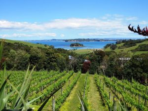 NZ's global wine sales value increased 4.5% to NZ$1.953 billion in the year to June.