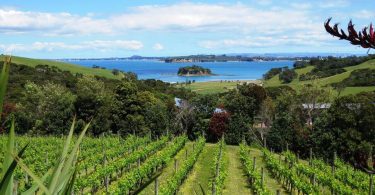 NZ's global wine sales value increased 4.5% to NZ$1.953 billion in the year to June.